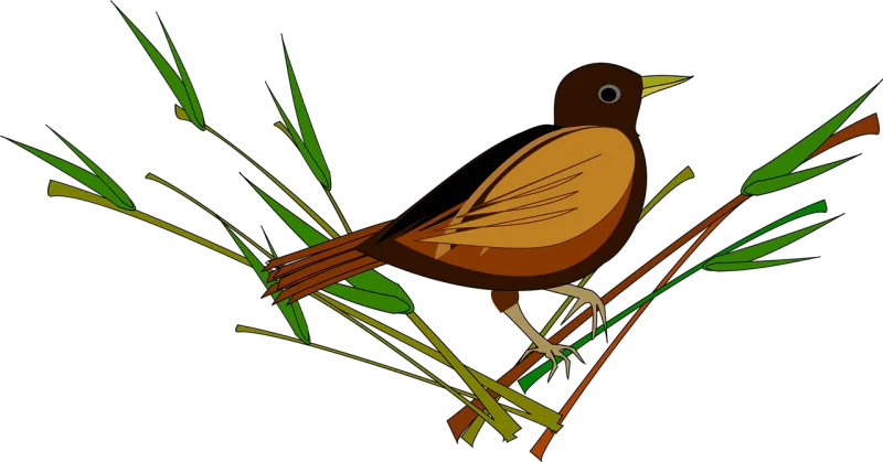 Sparrow Nature Bird Stickdatei – Tiere