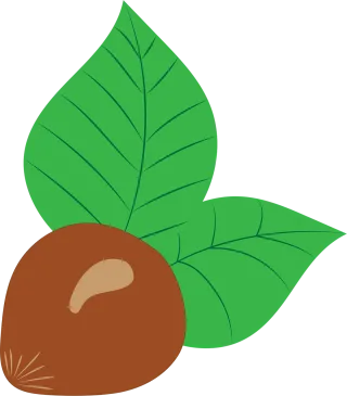 Hazelnut Vector Drawing Stickdatei
