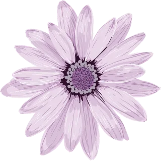 Flower Flower background Spring Stickdatei