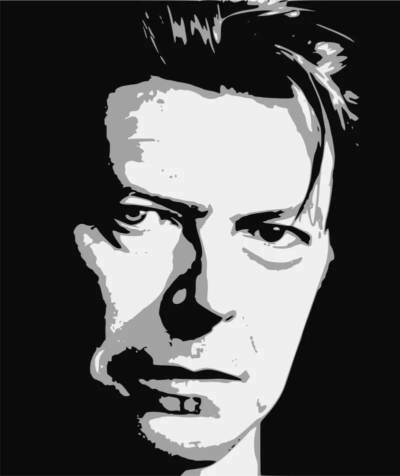 Bowie David Star Stickdatei – Musik