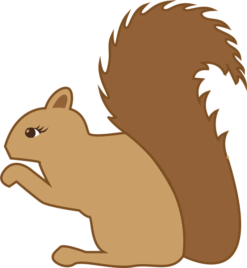 Squirrel Forest animal Animal Stickdatei – Natur