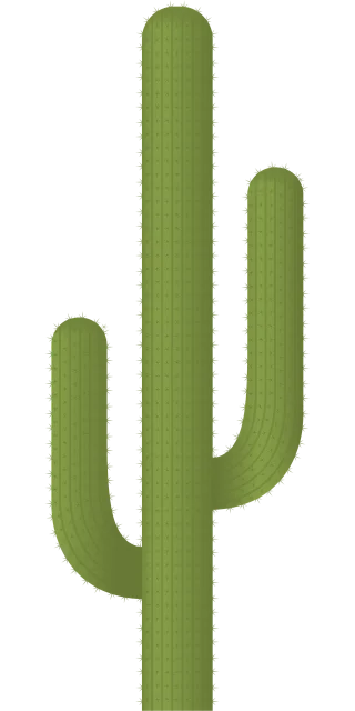 Cactus Plant Desert Stickdatei