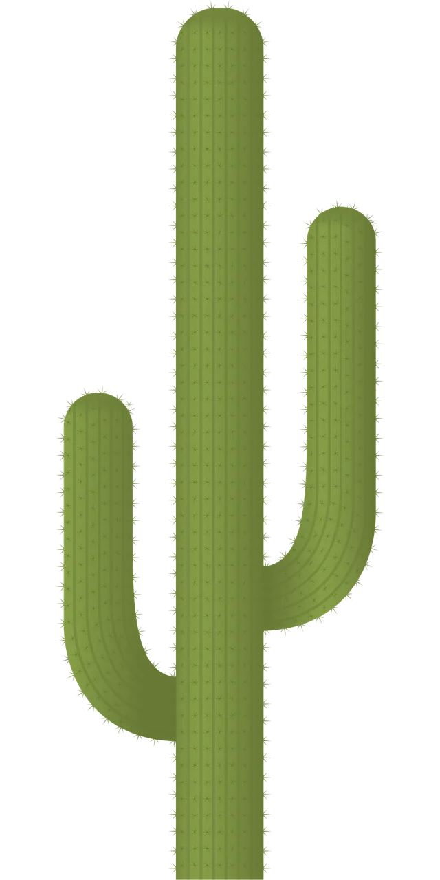 Cactus Plant Desert Stickdatei – Natur