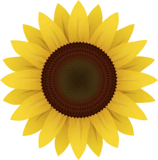 Flower Flower wallpaper Sunflower Stickdatei