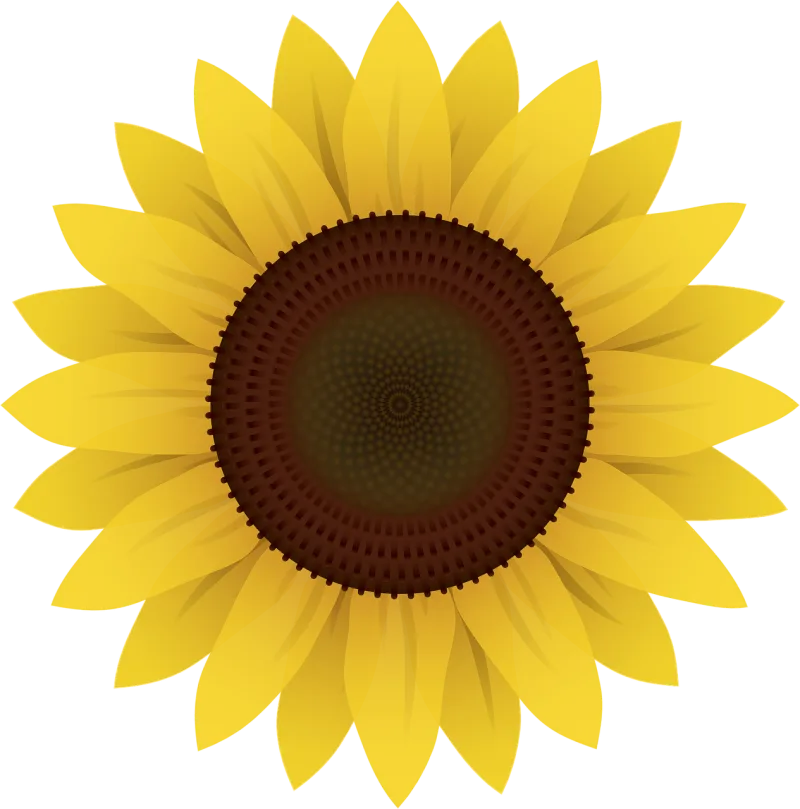 Flower Flower wallpaper Sunflower Stickdatei – Blumen