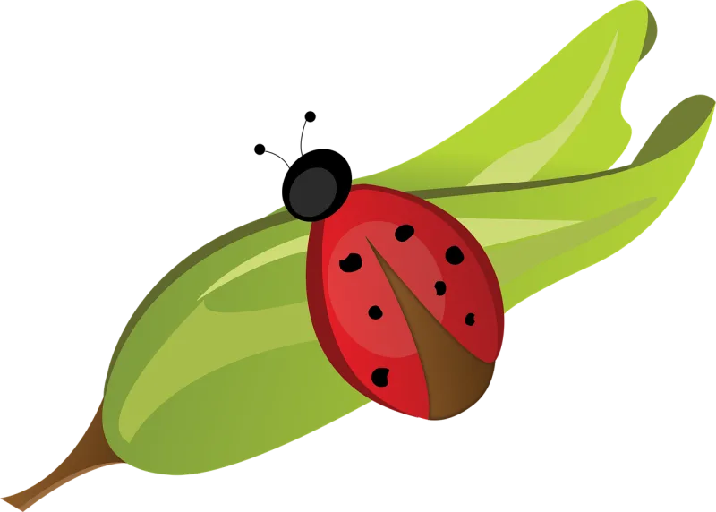 Ladybug Leaf Red Stickdatei – Tiere