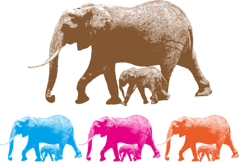 Animal Nature Ai Stickdatei – Tiere