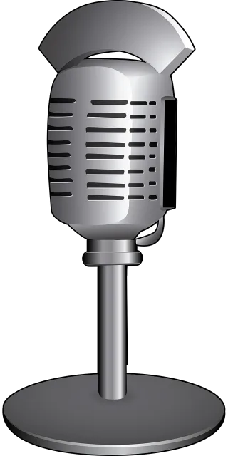 Microphone Vintage Radio Stickdatei
