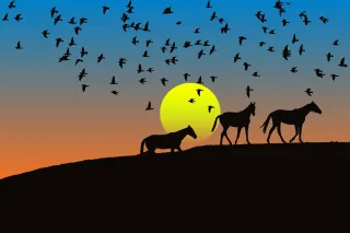 Birds Animals Nature Stickdatei