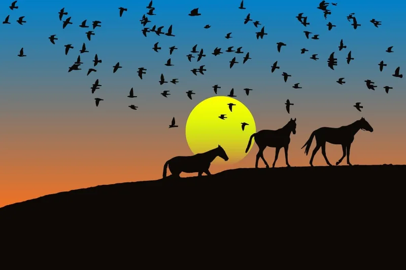 Birds Animals Nature Stickdatei – Natur