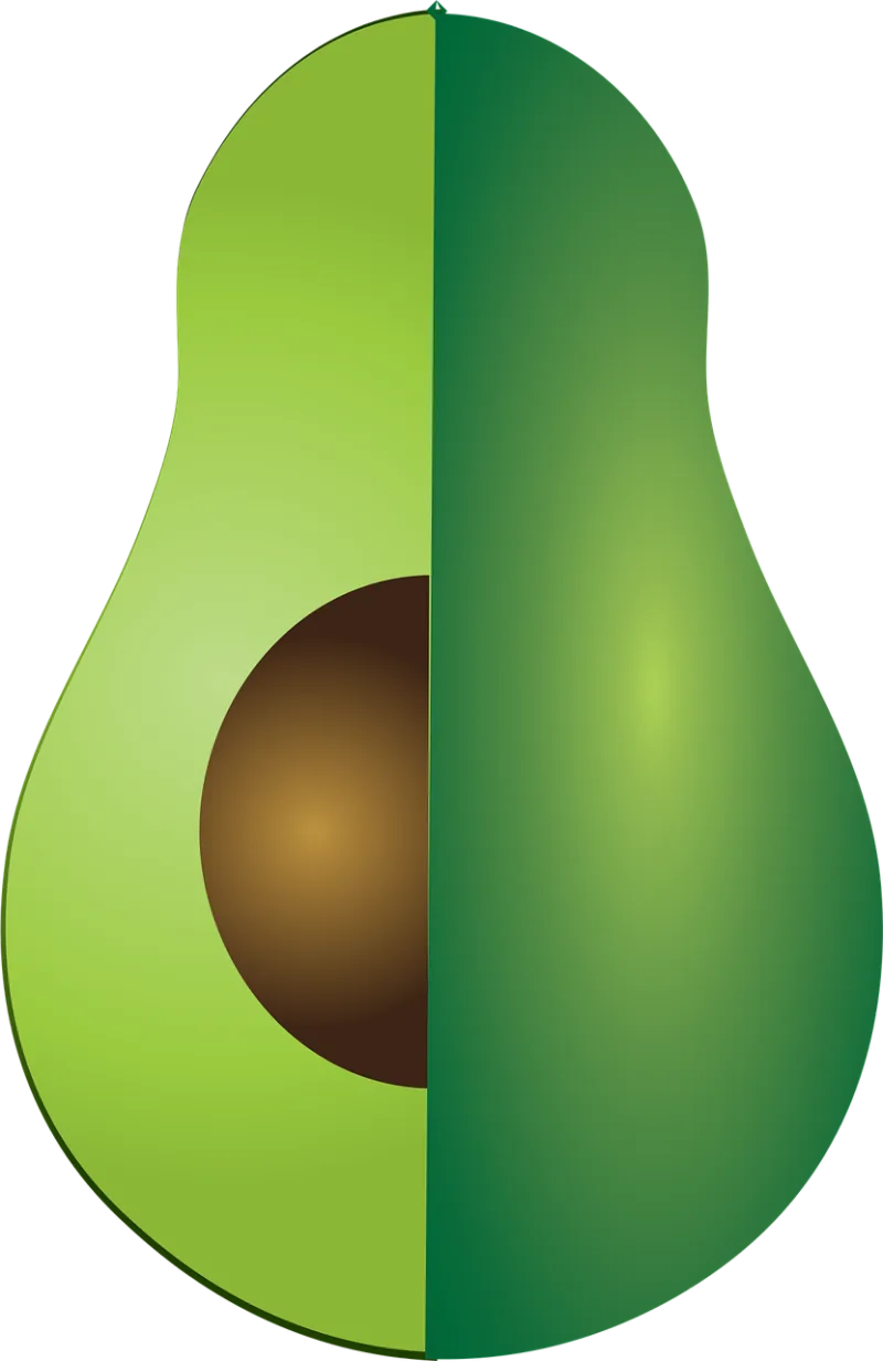Avocado Half Cut Stickdatei – Essen & Trinken