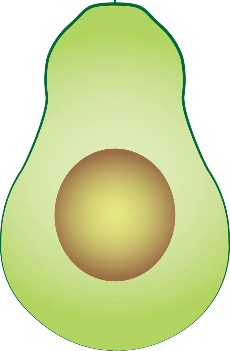 Avocado Half Cut Stickdatei – Essen & Trinken