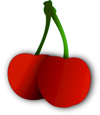Cherry Fruit Vector image Stickdatei