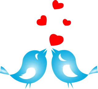Love Birds Animals Stickdatei
