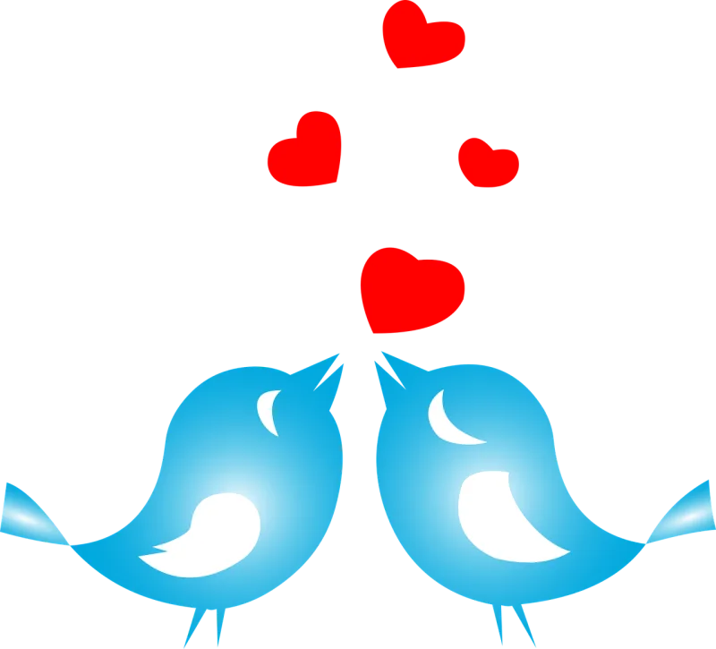 Love Birds Animals Stickdatei – Herzen & Liebe