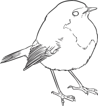Bird Lineart Lines Stickdatei