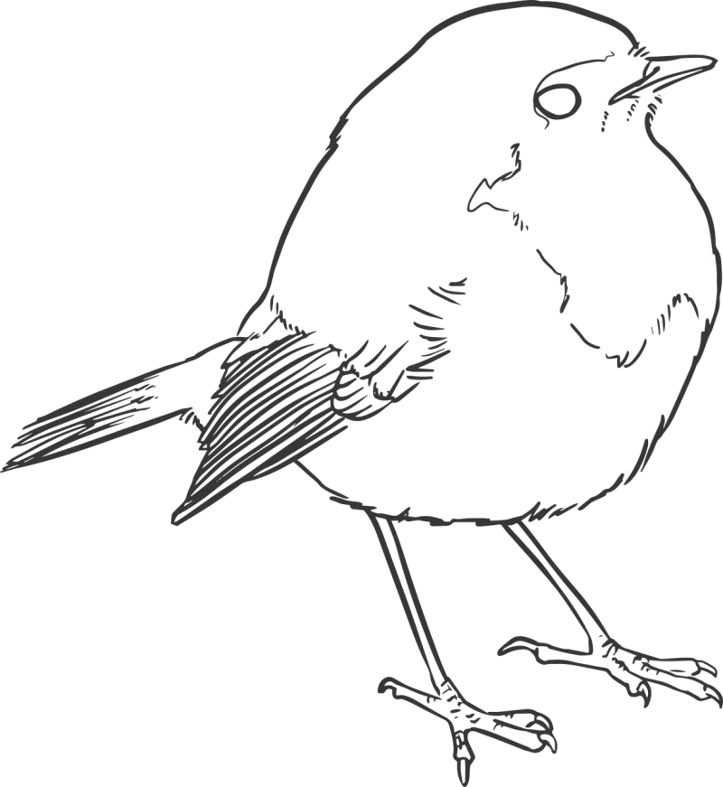 Bird Lineart Lines Stickdatei – Natur