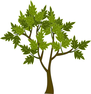 Tree Green Nature Stickdatei