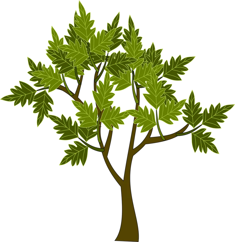 Tree Green Nature Stickdatei – Natur