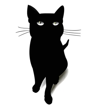 Cat Blackcat Black cat Stickdatei