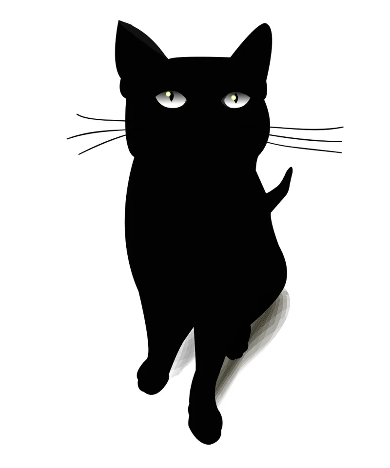 Cat Blackcat Black cat Stickdatei – Tiere
