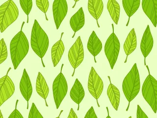 Autumn Background Boxes Stickdatei