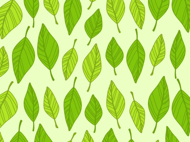 Autumn Background Boxes Stickdatei – Natur
