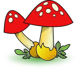 Fall Fungi Map icon Stickdatei