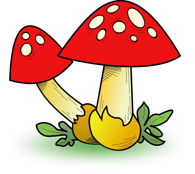 Fall Fungi Map icon Stickdatei – Natur