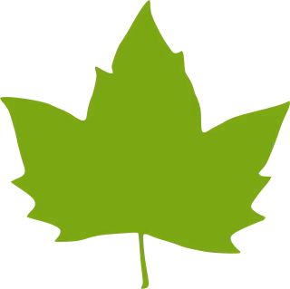 Leaf Leaves Nature Stickdatei