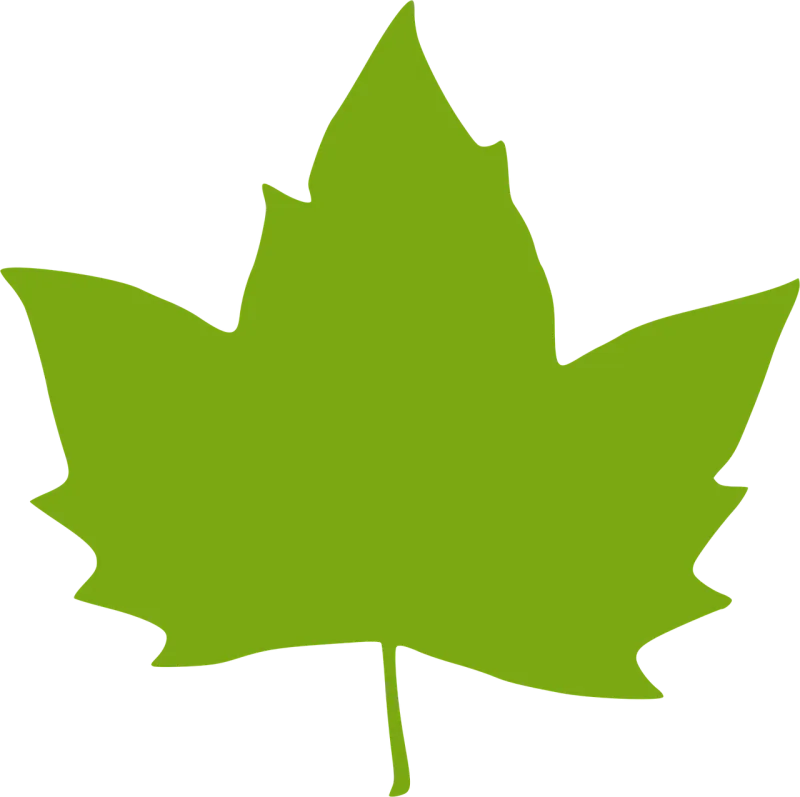 Leaf Leaves Nature Stickdatei – Natur