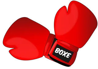 Boxing Fight Gloves Stickdatei