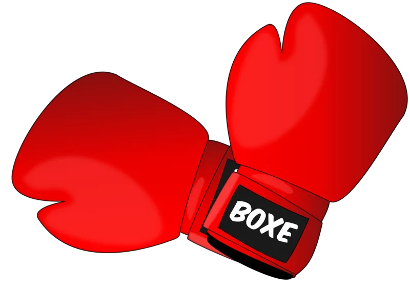 Boxing Fight Gloves Stickdatei – Sport
