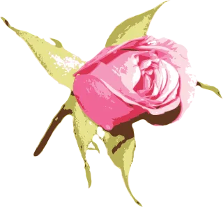 Floral Beautiful flowers Rose flower Stickdatei