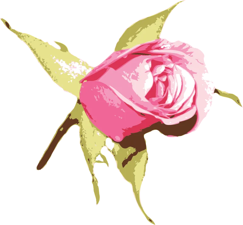 Floral Beautiful flowers Rose flower Stickdatei – Blumen