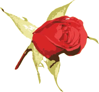 Floral Flower Rose flower Stickdatei – Blumen