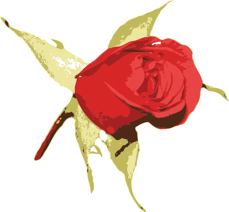 Floral Flower Rose flower Stickdatei – Blumen