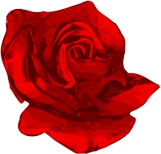 Flower Flower wallpaper Beautiful flowers Stickdatei