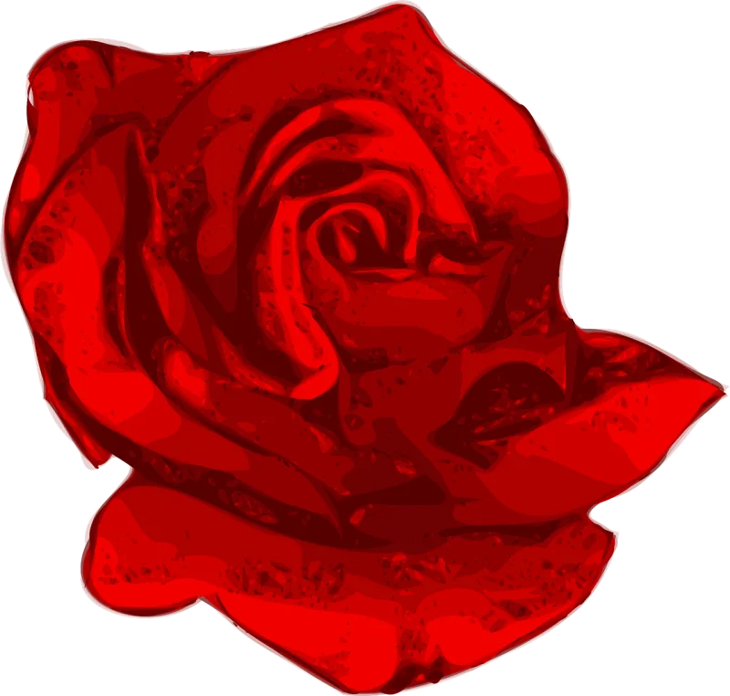 Flower Flower wallpaper Beautiful flowers Stickdatei – Herzen & Liebe