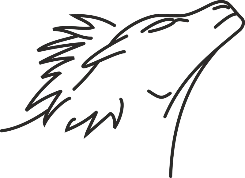 Line Lines Lion Stickdatei – Tiere