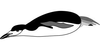 Penguin Animal Bird Stickdatei