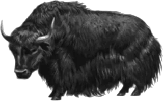 Animal Hairy Horned Stickdatei – Natur