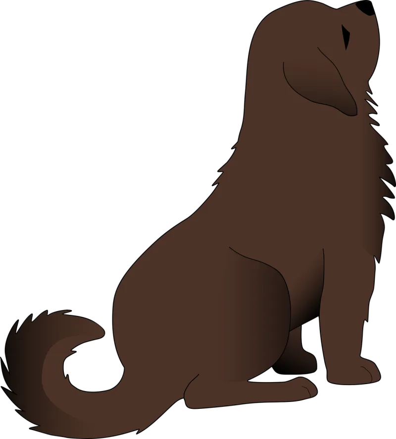 Animal Nature Dog Stickdatei – Tiere