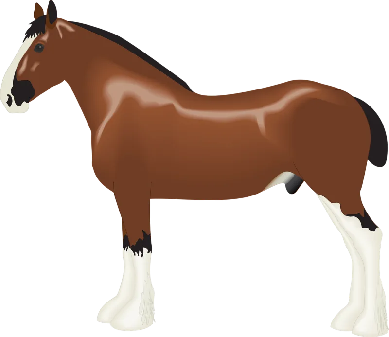 Animal Clydesdale Nature Stickdatei – Tiere