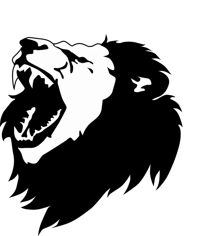 Black and white Lion Lion head Stickdatei – Tiere