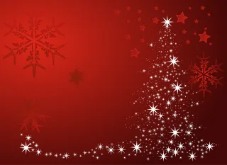 Christmas Noel Snowflake Stickdatei