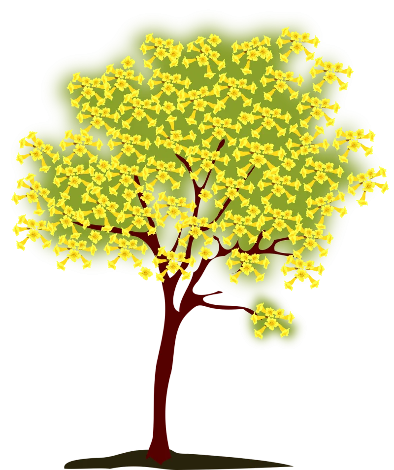 Tree Blossoming Yellow Stickdatei – Natur