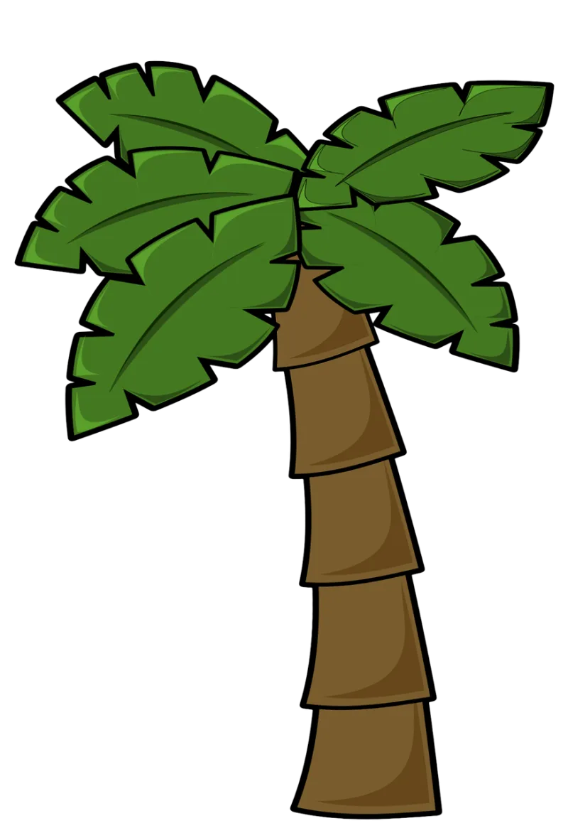 Coconut tree Jungle Jungle leaf Stickdatei – Natur
