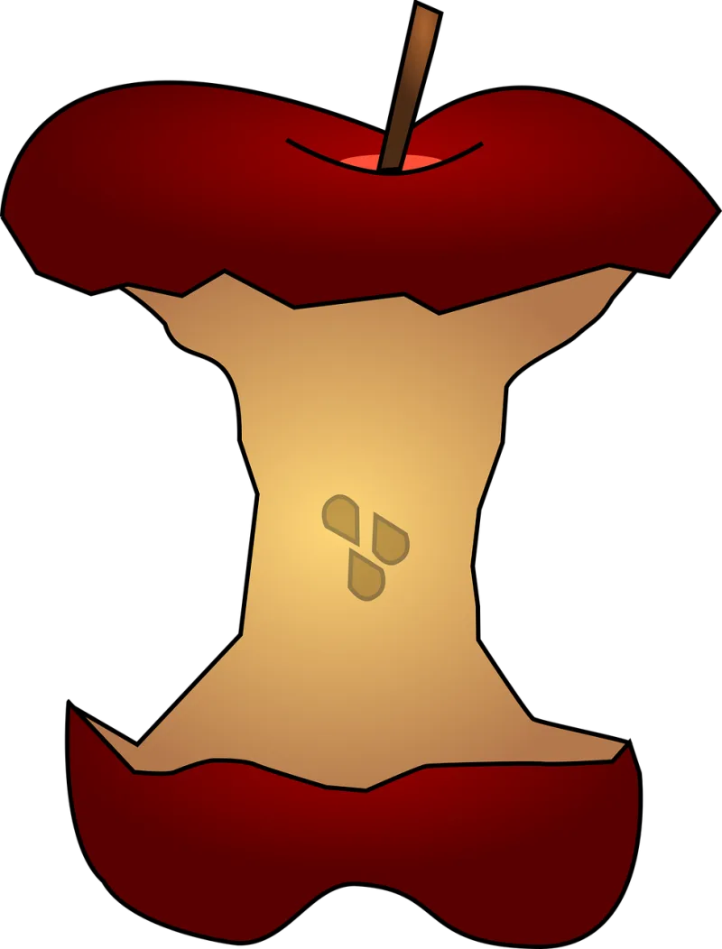Apple Apple core Rotten apple Stickdatei – Essen & Trinken
