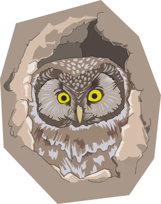 Bird Hole Nature Stickdatei